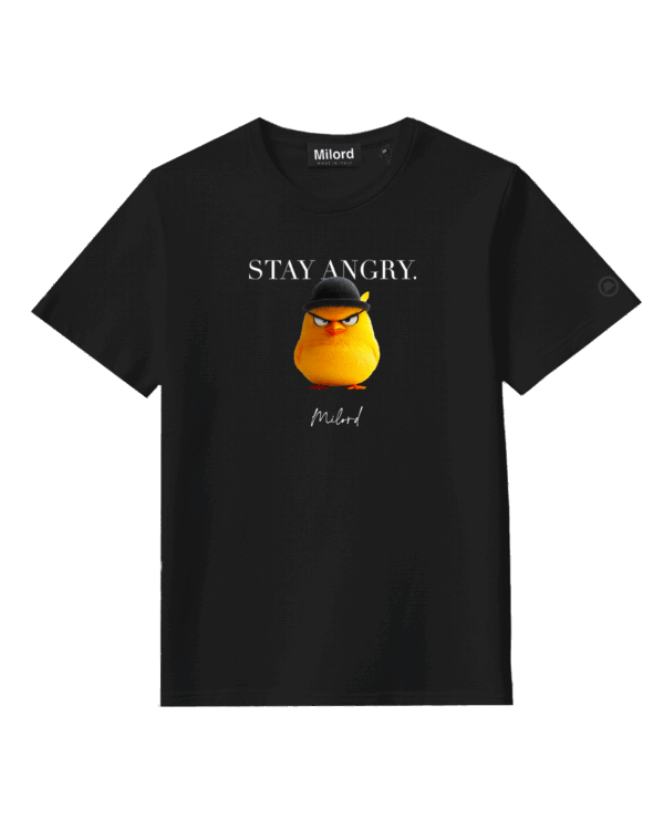 T-shirt STAY ANGRY (black)